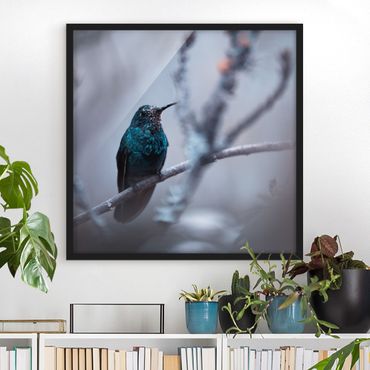 Bild mit Rahmen - Kolibri im Winter - Quadrat 1:1