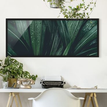 Bild mit Rahmen - Grüne Palmenblätter - Panorama Querformat