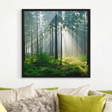 Bild mit Rahmen - Enlightened Forest - Quadrat 1:1