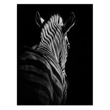 Leinwandbild - Dunkle Zebra Silhouette - Hochformat 4:3