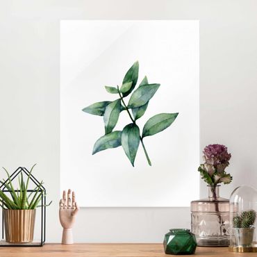 Glasbild - Aquarell Eucalyptus III - Hochformat