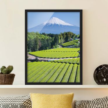 Bild mit Rahmen - Teefelder vor dem Fuji - Hochformat 3:4