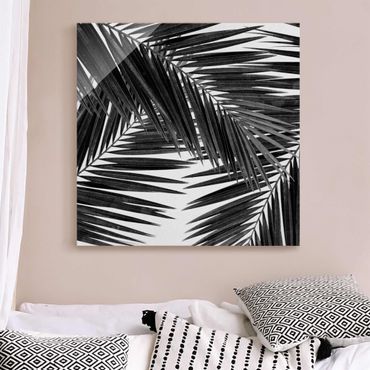 Glasbild - Blick durch Palmenblätter schwarz weiß - Quadrat