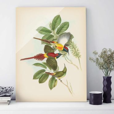 Glasbild - Vintage Illustration Tropische Vögel III - Hochformat 4:3