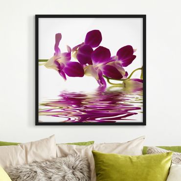 Bild mit Rahmen - Pink Orchid Waters - Quadrat 1:1