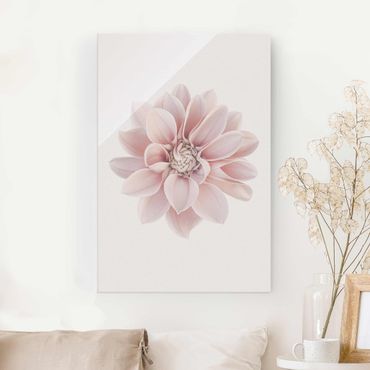 Glasbild - Dahlie Blume Pastell Weiß Rosa - Hochformat 3:2