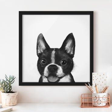 Bild mit Rahmen - Illustration Hund Boston Schwarz Weiß Malerei - Quadrat 1:1
