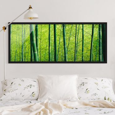 Bild mit Rahmen - Bambuswald - Panorama Querformat