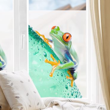 Fensterfolie - Sichtschutz Fenster Frog - Fensterbilder
