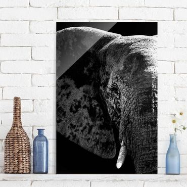 Glasbild - Afrikanischer Elefant schwarz-weiss - Hoch 2:3