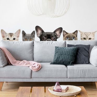 Wandtattoo - Katzen mit Hundeblick