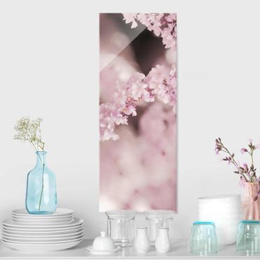 Glasbild - Kirschblüte im Violetten Licht - Hochformat