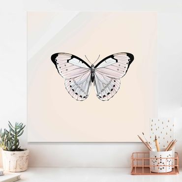 Glasbild - Schmetterling auf Beige - Quadrat