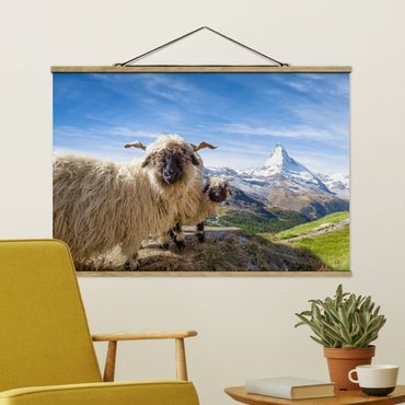 Stoffbild mit Posterleisten - Schwarznasenschafe von Zermatt - Querformat 3:2