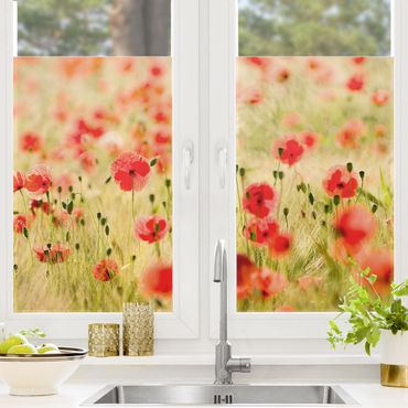 Fensterfolie - Sichtschutz Fenster Summer Poppies - Fensterbilder