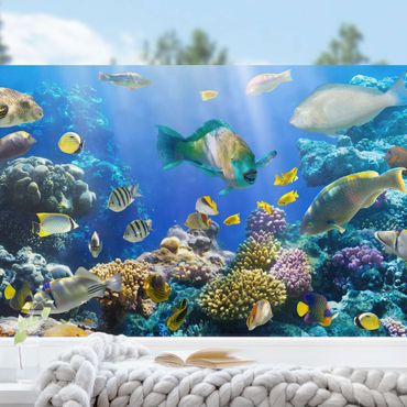 Fensterfolie - Sichtschutz - Underwater Reef - Fensterbilder