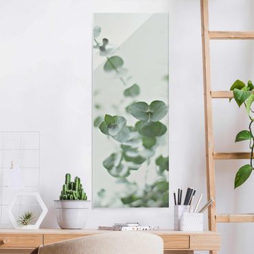 Glasbild - Wachsende Eukalyptuszweige - Hochformat