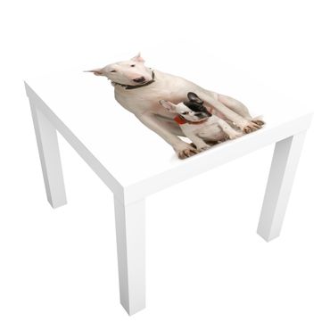 Möbelfolie für IKEA Lack - Klebefolie No.365 Bull Terrier and Friend