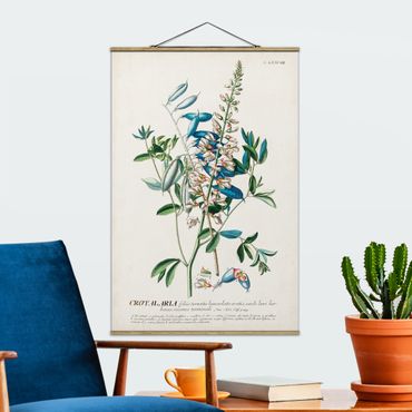 Stoffbild mit Posterleisten - Vintage Botanik Illustration Hülsenfrüchte - Hochformat 2:3