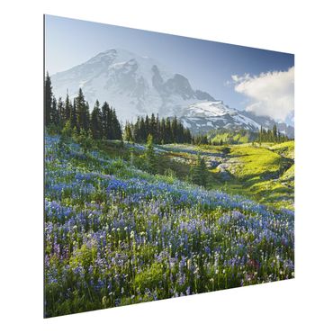 Alu-Dibond Natur & Landschaft - Bergwiese mit blauen Blumen vor Mt. Rainier