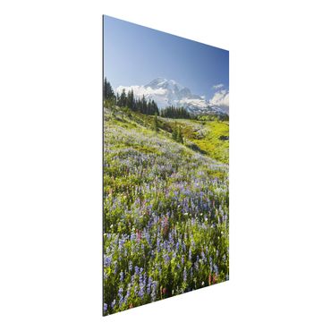 Alu-Dibond Natur & Landschaft - Bergwiese mit roten Blumen vor Mt. Rainier