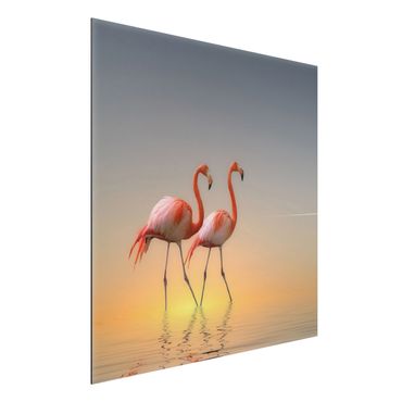 Alu-Dibond Bild - Flamingo Love
