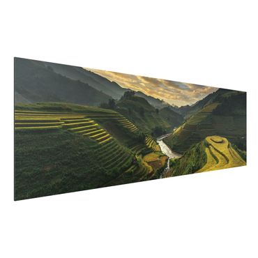 Alu-Dibond Bild - Reisplantagen in Vietnam