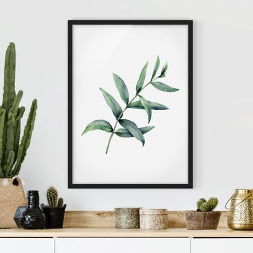 Bild mit Rahmen - Aquarell Eucalyptus I - Hochformat
