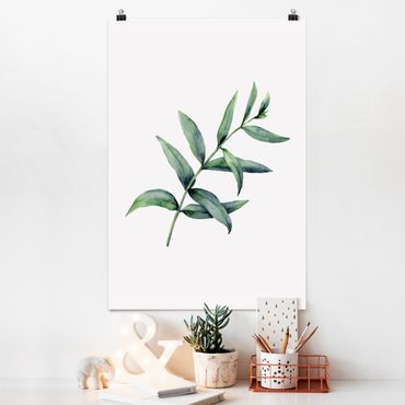 Poster - Aquarell Eucalyptus I - Hochformat 2:3