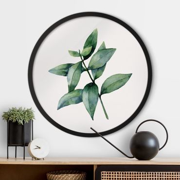 Rundes Gerahmtes Bild - Aquarell Eucalyptus III