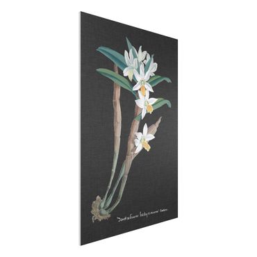Forex Fine Art Print - Weiße Orchidee auf Leinen I - Hochformat 3:2