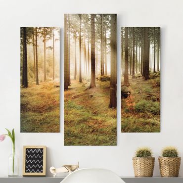 Leinwandbild 3-teilig - No.CA48 Morning Forest - Galerie Triptychon