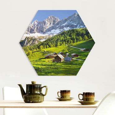 Hexagon Bild Forex - Steiermark Almwiese