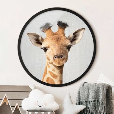 Rundes Gerahmtes Bild - Baby Giraffe Gandalf