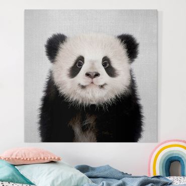 Leinwandbild - Baby Panda Prian - Quadrat 1:1