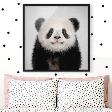 Bild mit Rahmen - Baby Panda Prian - Quadrat - 1:1