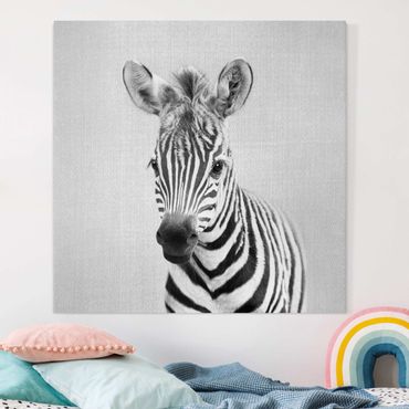 Leinwandbild - Baby Zebra Zoey Schwarz Weiß - Quadrat 1:1