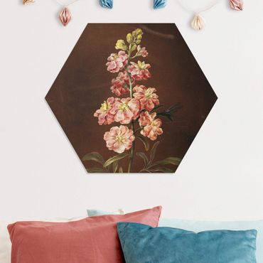 Hexagon-Forexbild - Barbara Regina Dietzsch - Eine rosa Garten-Levkkoje