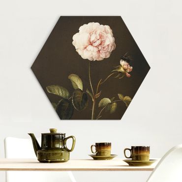 Hexagon-Alu-Dibond Bild - Barbara Regina Dietzsch - Essig-Rose mit Hummel