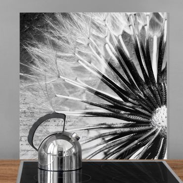 Glas Spritzschutz - Pusteblume Schwarz & Weiß - Quadrat - 1:1