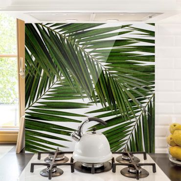 Spritzschutz Glas - Blick durch grüne Palmenblätter - Quadrat 1:1