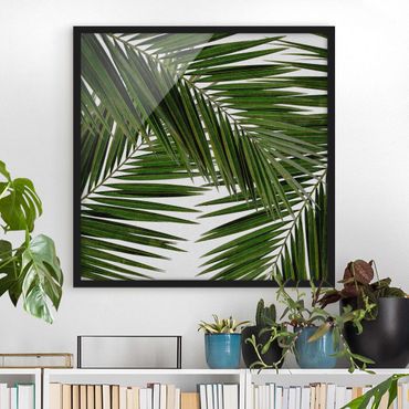 Bild mit Rahmen - Blick durch grüne Palmenblätter - Quadrat