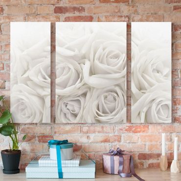 Leinwandbild 3-teilig - Weiße Rosen - Triptychon
