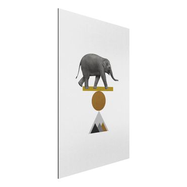 Alu-Dibond - Balancekunst Elefant - Querformat