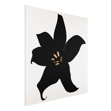 Forex Fine Art Print - Grafische Pflanzenwelt - Orchidee Schwarz und Gold - Quadrat 1:1