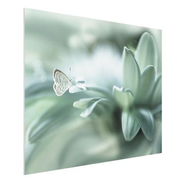 Forex Fine Art Print - Schmetterling und Tautropfen in Pastellgrün - Querformat 3:4