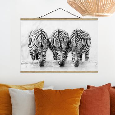 Stoffbild mit Posterleisten - Zebra Trio schwarz-weiß - Querformat 3:2