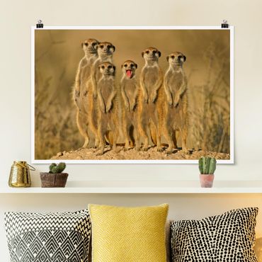 Poster - Meerkat Family - Querformat 2:3
