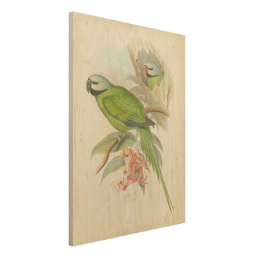 Holzbild - Vintage Illustration Tropische Vögel II - Hochformat 4:3