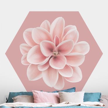 Hexagon Mustertapete selbstklebend - Dahlie auf Blush Rosa